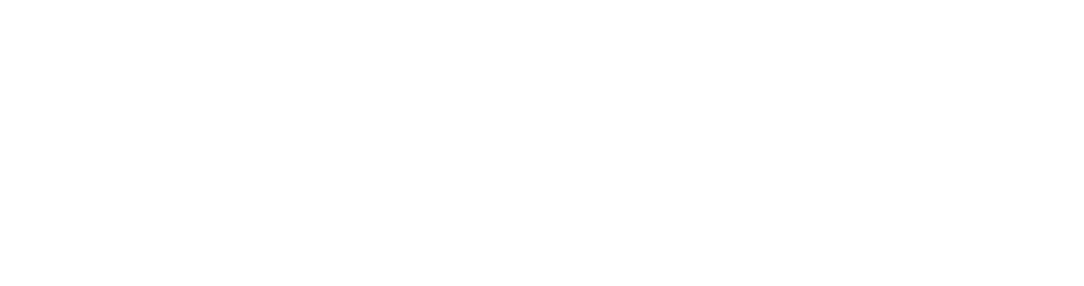 Global Investment & Insurance